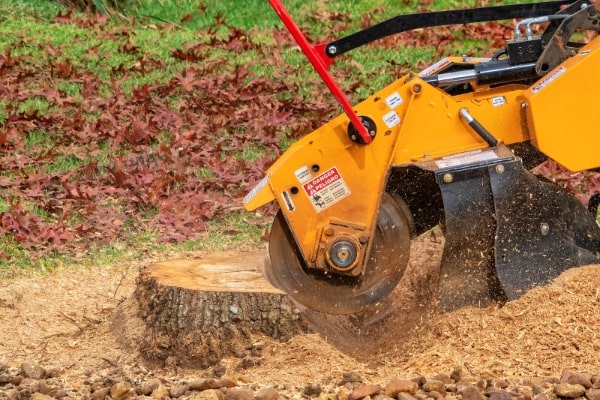 Stump Grinding and Removal Services